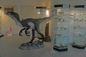 Dinosaurier im Eiszeitmuseum