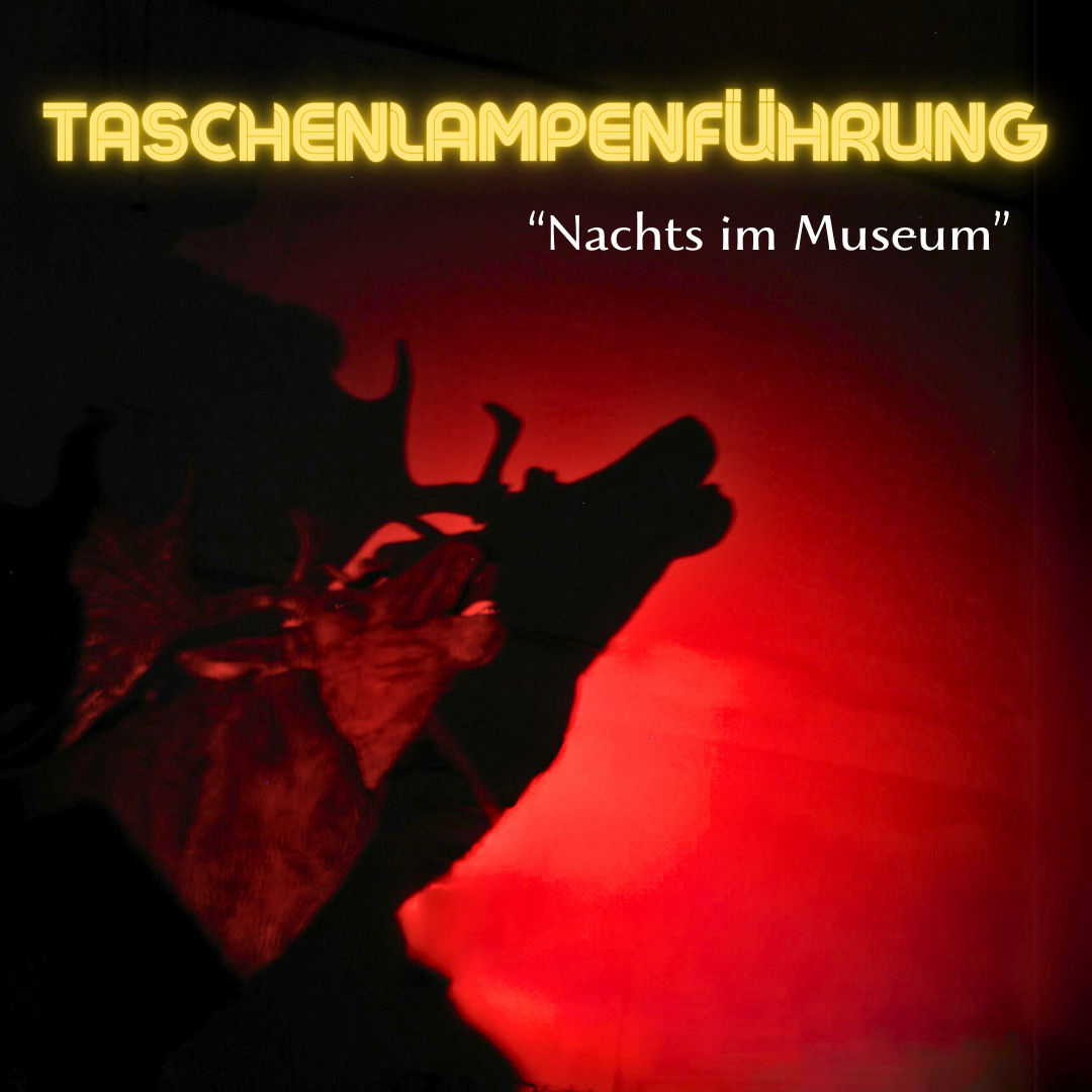 Taschenlampenführung "Nachts im Museum"