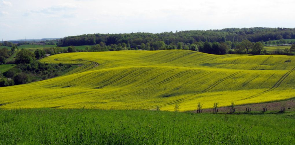 moränen_nienthal